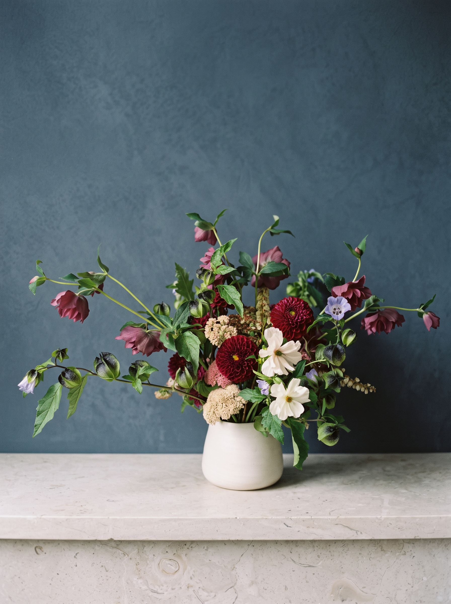 Burgundy dahlias, plum hellebores and periwinkle shoo-fly bells in a matte off-white vessel against a slate-blue plaster wall